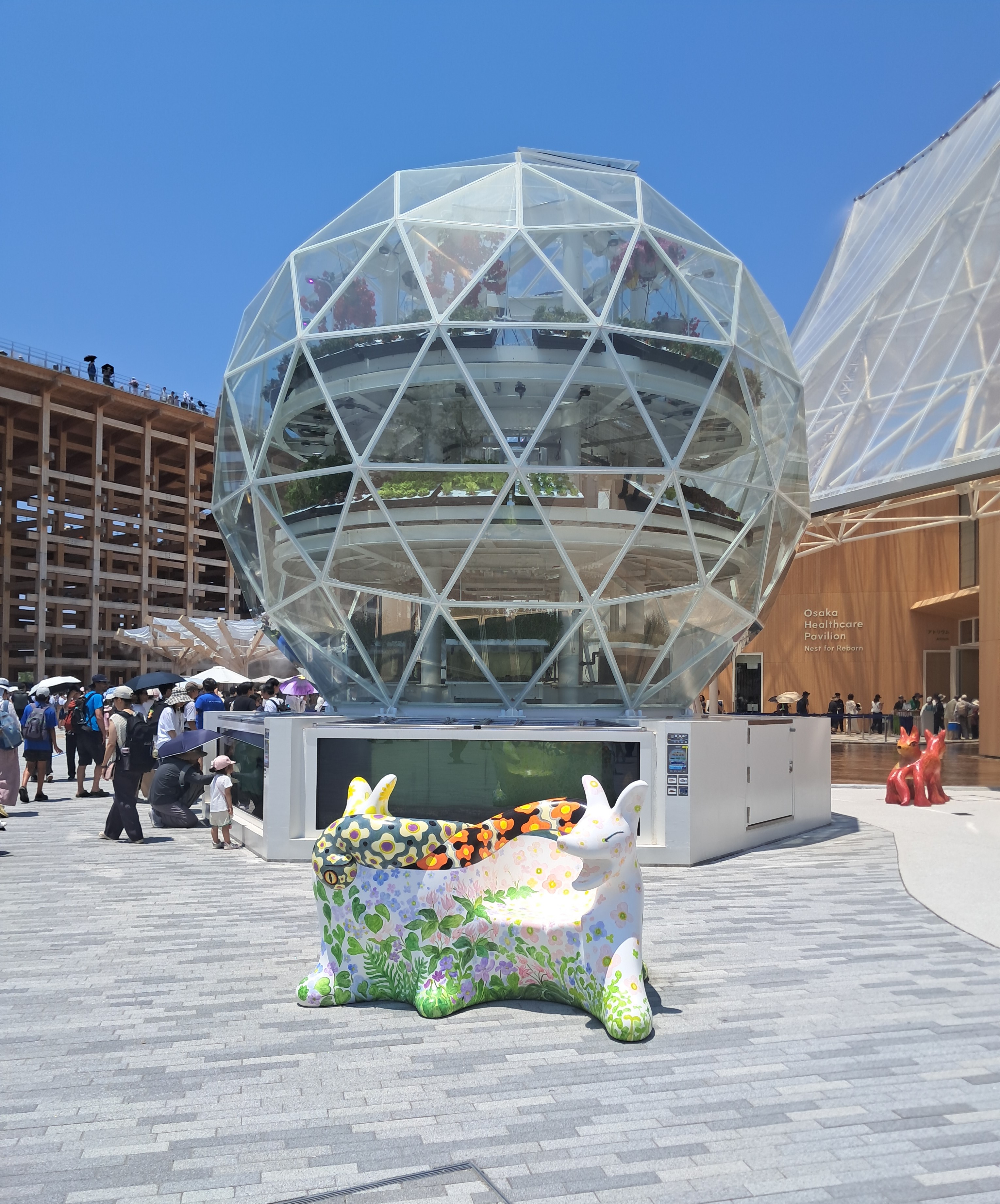 Placeholder polaroid